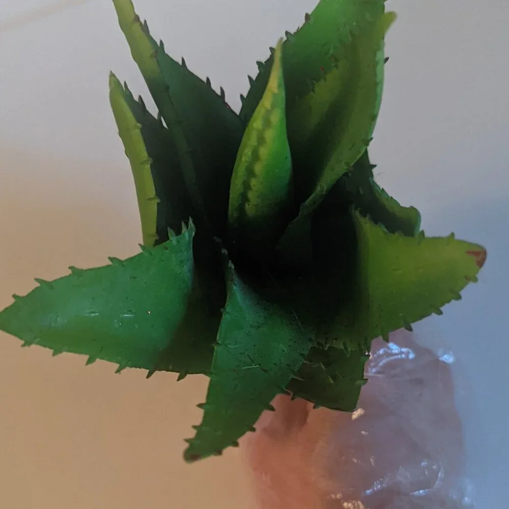 NWT Ashland Spiky Tropical Aloe Succulent Stem Plant Faux Floral Decor Michael's